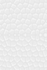 leather2.png