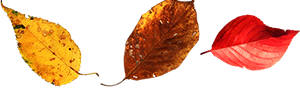leaves_3.png