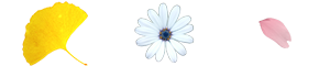leaves_5.png