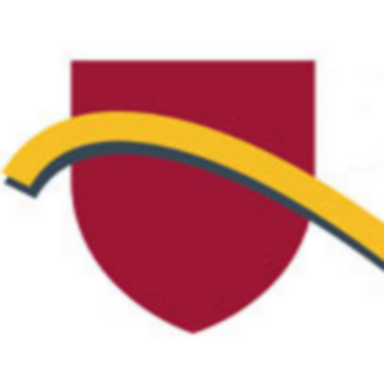 icon-384x384.png