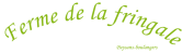 crbst_titre_20vert.png