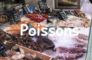 fish-shop-1111293_640.jpg
