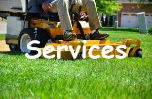lawn-care-643559_640.jpg