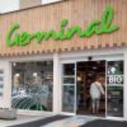 germinal.jpg